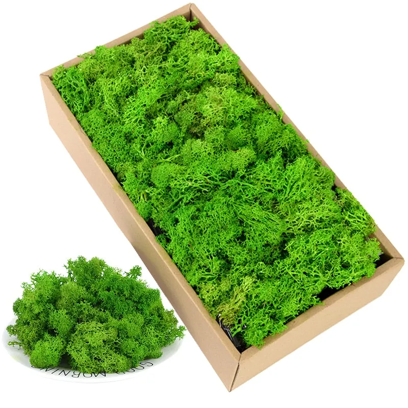 40g Simulation Artificial Moss Plant