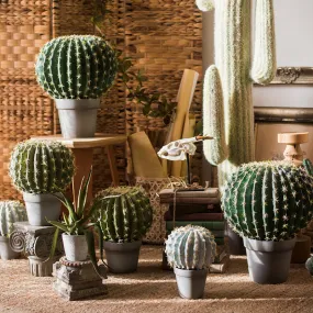 Artificial Faux Cactus Ball In Pot