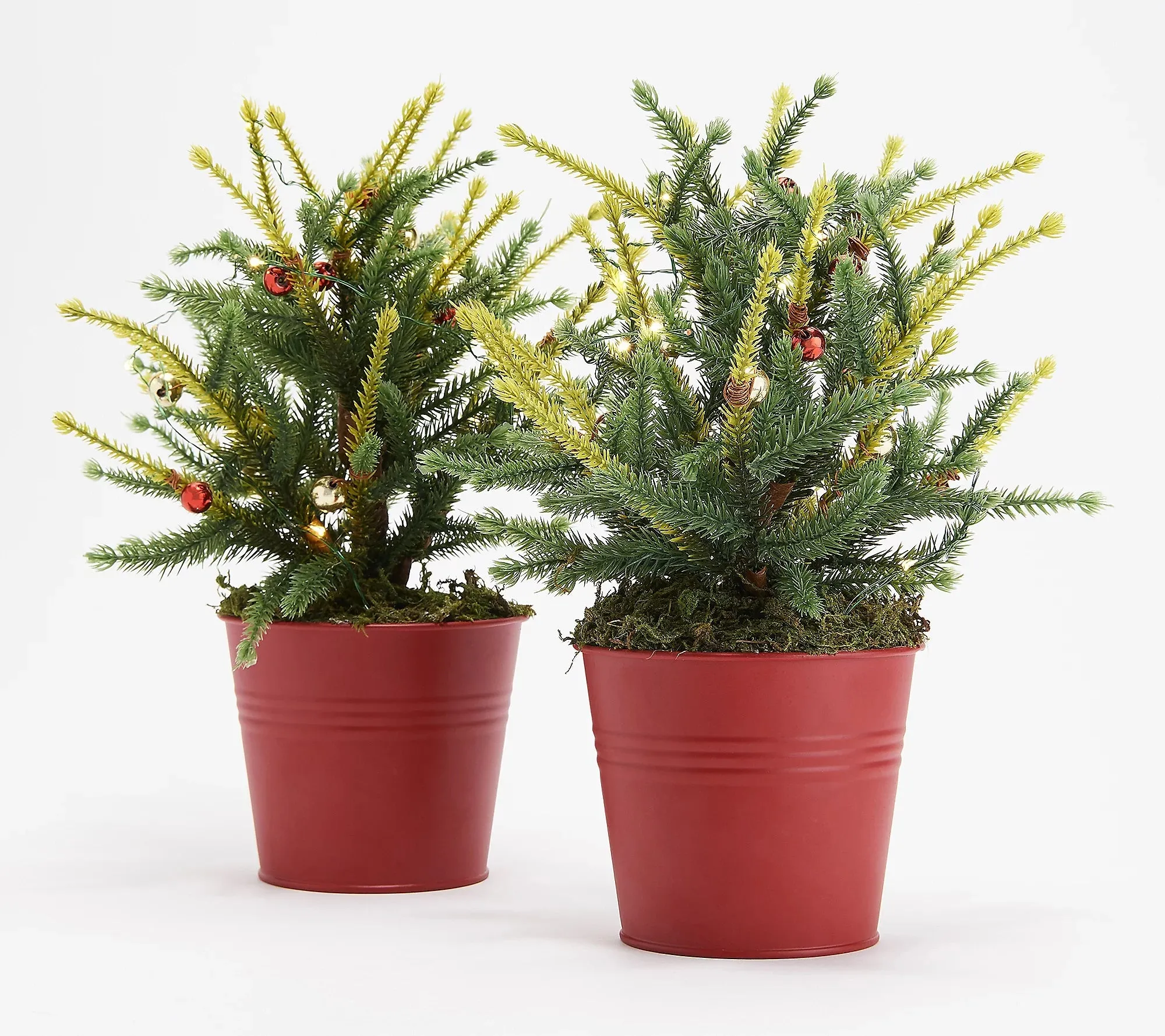 Kringle Express Set of 2 Classic Alpine Lit Potted Arrangements Silver,Color-Flip