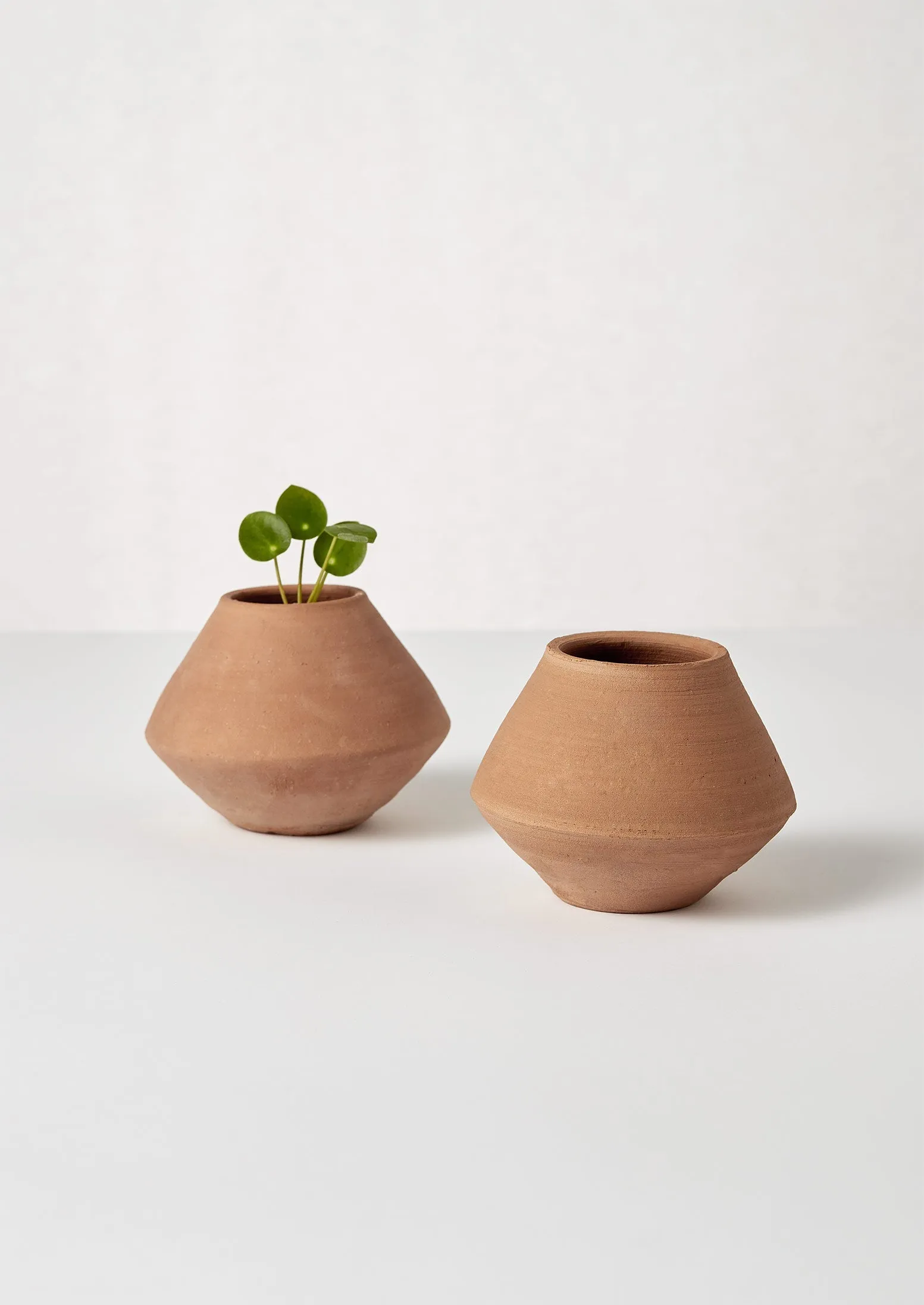 Lopa Terracotta Planter | Terracotta