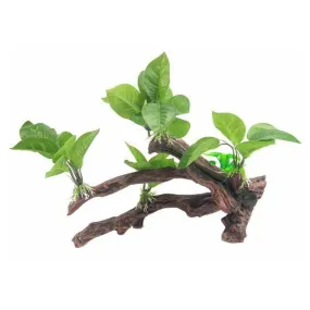 RQ1909 Plant Aquarium Decoration 40x30cm